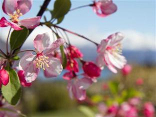 Tin Tub Luxury Lodge Wanaka Dış mekan fotoğraf